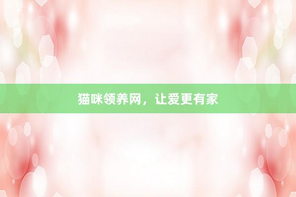 猫咪领养网，让爱更有家